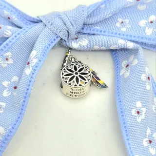 CHARM ATRAPASUEÑOS DE COLORES