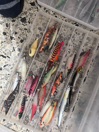 Lotes de señuelos de pesca y 2 cañas