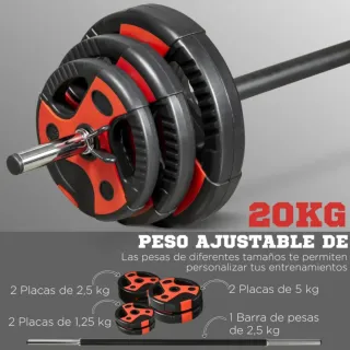 Barra de pesas con 6 discos