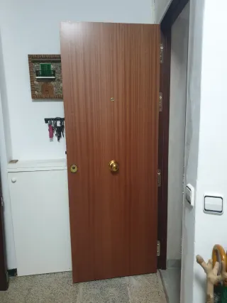 Puerta blindada sapelly