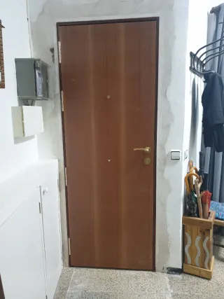 Puerta blindada sapelly