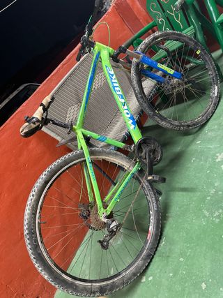 Bicicleta Wolfbike Verde y Azul precio negociable