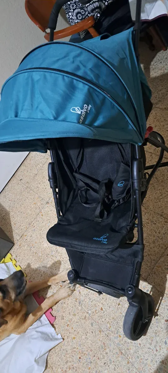 Carro de bebé Asalvo Baby