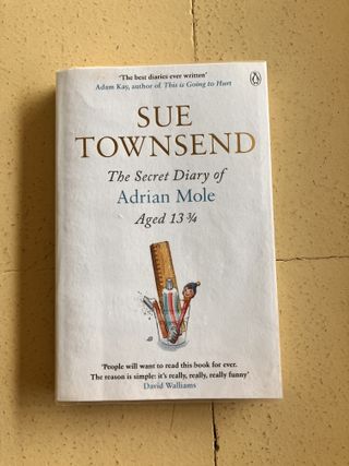 The secret Diary of Adrian Molte Aged 12 3/4