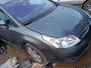 Despiece Citroen C4
