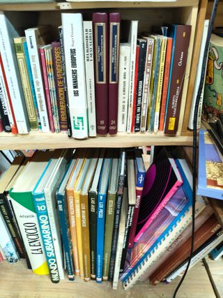 Lote de Libros Variados