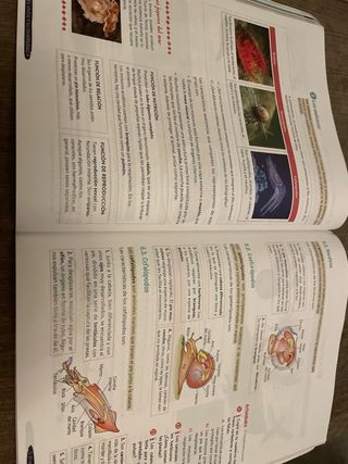 Biología y Geología 1º ESO Geniox Oxford