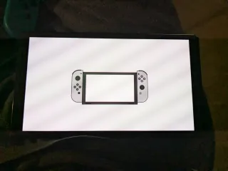 Nintendo Switch OLED grigio/bianco