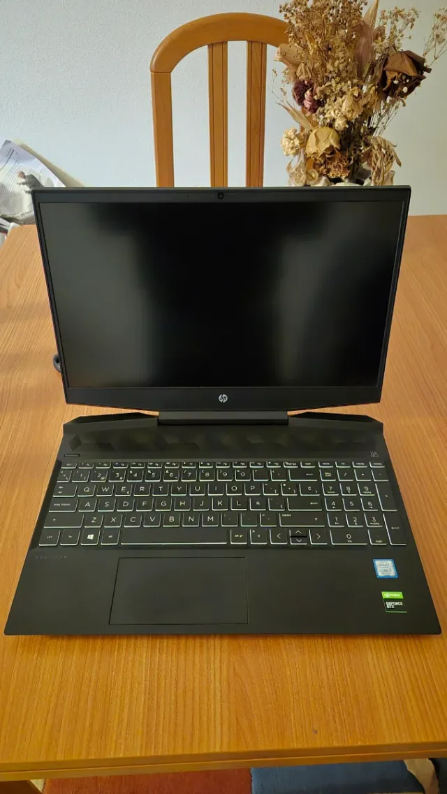 HP Pavilion Gaming 15GTX 1650