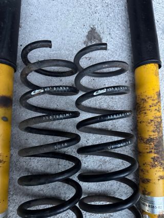Amortiguadore Bilstein B8 muelles eibach focus mk2