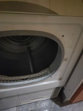 Secadora Edesa Dinamic Condensación