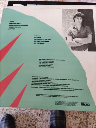 Vinilo Dan Siegel On The Edge