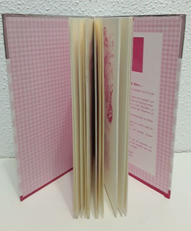 Junie B.Jones y Warren el superguapo.