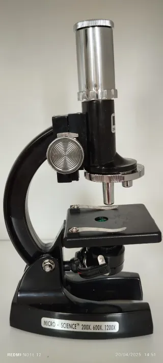 Microscopio Micro-Science 