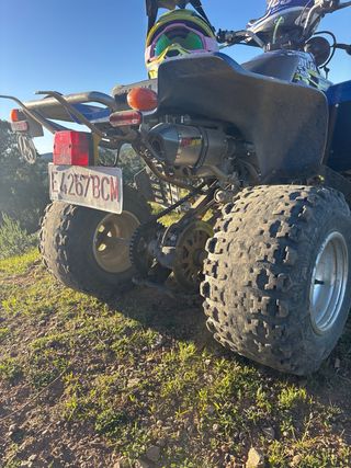 Yamaha warrio