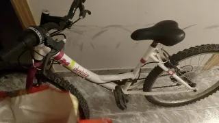 Bicicleta blanca con casco