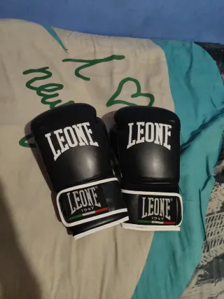 Guantes de boxeo Leone 14oz