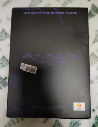 Stray Kids NOEASY Album.