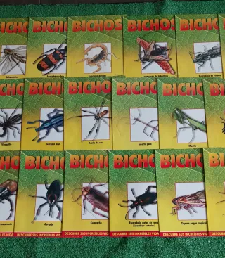 lote de revistas de bichos