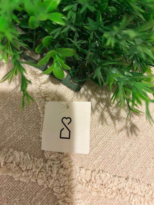 Jardín Vertical Decorativo