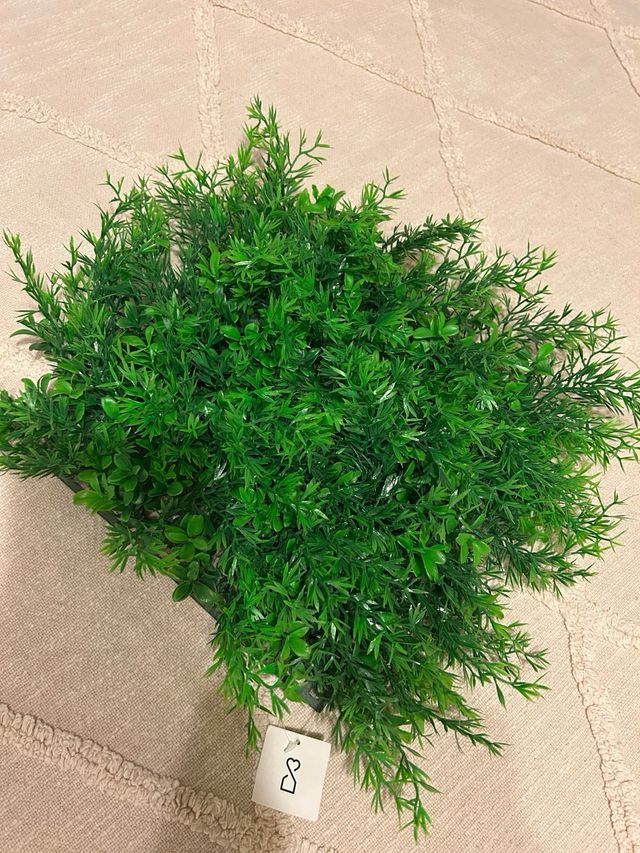 Jardín Vertical Decorativo