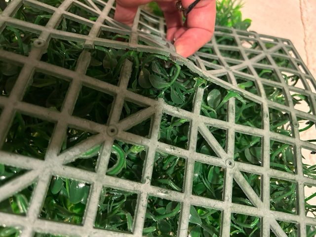 Jardín Vertical Decorativo