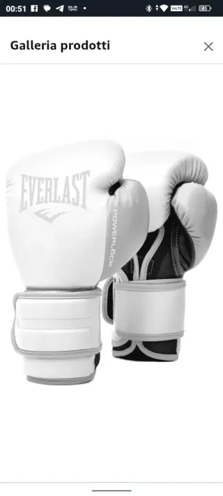 Guanti guantoni Boxe Everlast Fasce bendaggi Leone