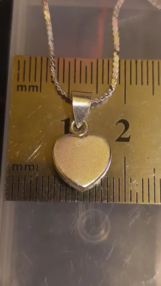 Cadena y Colgante de Plata de Ley 