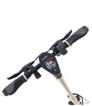 Patinete ZFox Max Autumn Sunrise DGT