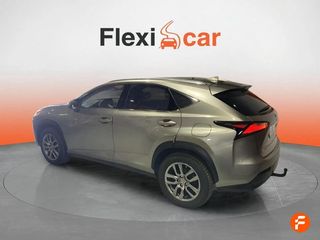 Lexus NX 2.5 300h Business 2WD