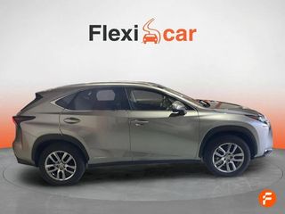 Lexus NX 2.5 300h Business 2WD