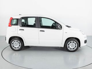 FIAT PANDA HYBRID 70CV MY25