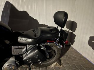 Alforjas custom cuero