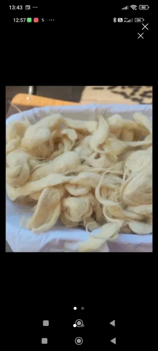 Cuscini in lana di pecora