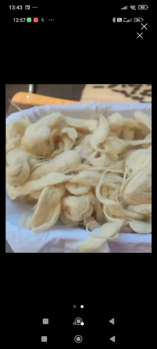 Cuscini in lana di pecora