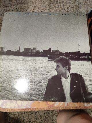 Vinilo Bryan Adams Into The Fire