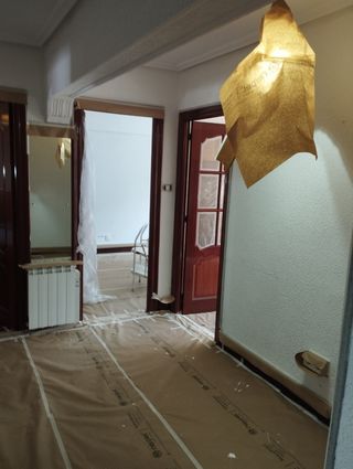 Servicio profesional quitar gotele y papel y Lucir