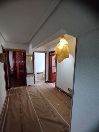Servicio profesional quitar gotele y papel y Lucir