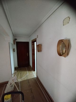 Servicio profesional quitar gotele y papel y Lucir