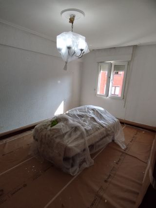 Servicio profesional quitar gotele y papel y Lucir
