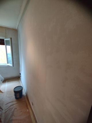 Servicio profesional quitar gotele y papel y Lucir