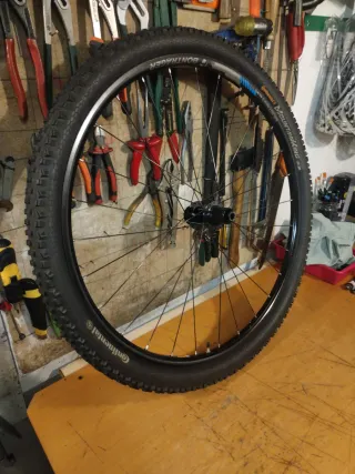 Rueda (29)Bontrager Mustang elite tlr