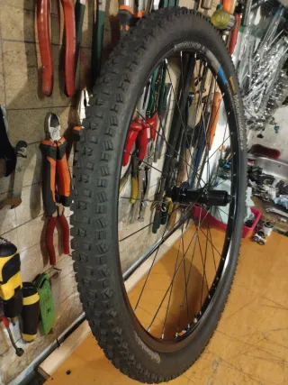 Rueda (29)Bontrager Mustang elite tlr