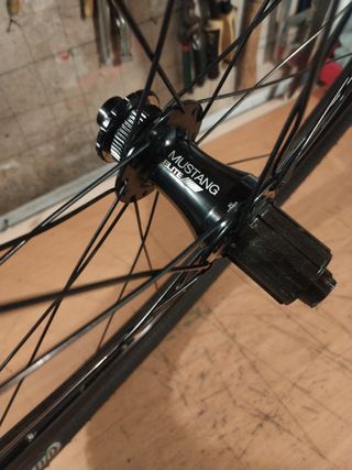 Rueda (29)Bontrager Mustang elite tlr