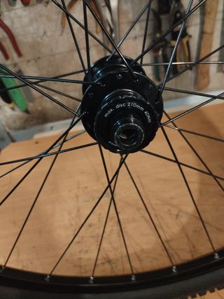 Rueda (29)Bontrager Mustang elite tlr