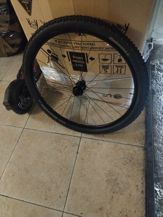 Rueda (29)Bontrager Mustang elite tlr