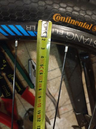 Rueda (29)Bontrager Mustang elite tlr