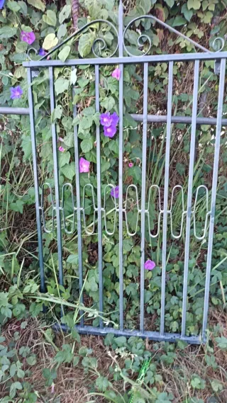 Rejas metálicas en buen estados