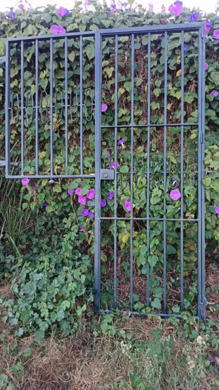 Rejas metálicas en buen estados