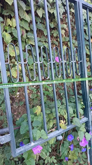 Rejas metálicas en buen estados